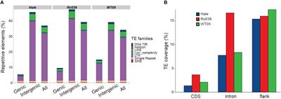 The impact of retrotransposons on castor bean genomes